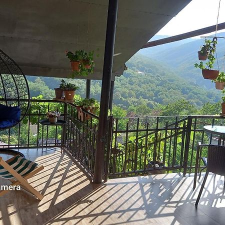 Cherqe Guest House Сигнахи Екстериор снимка